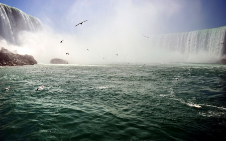 Niagara Falls - canada, nature, seagulls, waterfall