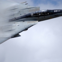 The F14 Tomcat