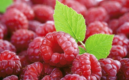 Fresh raspberries - abstract, phorography, summer, HD, raspberries, eat, fresh, fruits, wallpaper