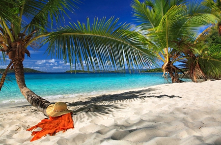 Tropical place - nice, sky, beach, tropics, hat, wind, vacation, pretty, holiday, sunny, branches, ocean, travel, summer, tropical, shore, place, lovely, exotic, nature, sabds, beautiful, breeze, sea