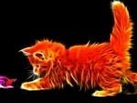 orange kitty