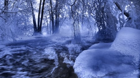 cold blue forest - beauty, trees, photography, stream, water, winter, nature, white, forest, pretty, snow, blue, beautiful