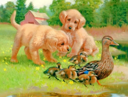 Follow the leader - fun, grass, children, joy, duckling, garden, mother, lake, friends, art, leader, cottage, house, game, trees, water, pond, puppies, playing, village, painting, animals