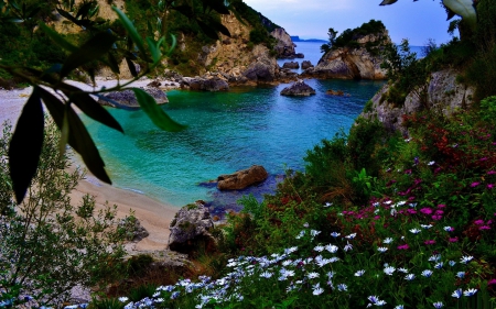 lovely remote cove surrounded by flowers - hill, beach, cove, trees, flowers, sea, rocks