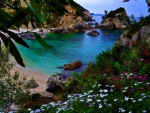 lovely remote cove surrounded by flowers