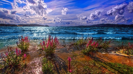 The sea - clouds, natura, the sea, waves