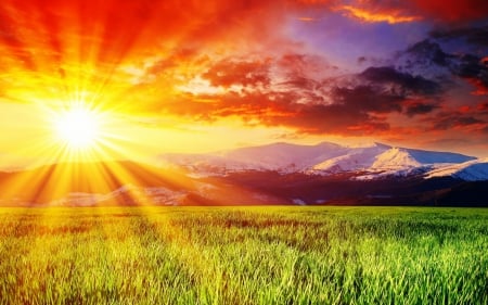 The rays of the Sun - mountains, meadow, forest, the rays of the sun