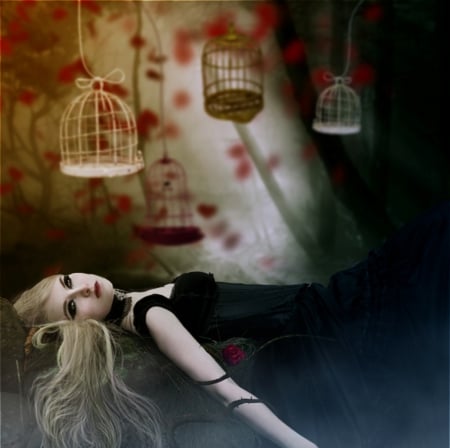 Save Me - cages, lady, fantasy, abstract