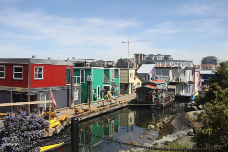 Marina houses in Victoria - green, houses, photography, red