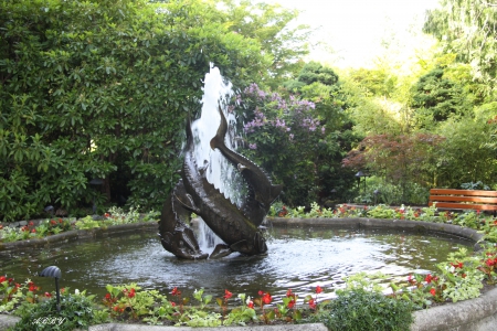 The Sturgeon fountain - flowers, Fountains, garden, green, photography, Fields