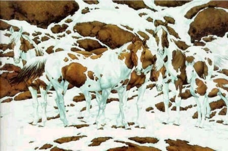 How Many Horses Can You See in the Picture ? - horses, picture, image, animals