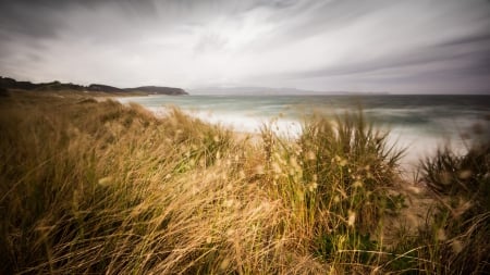 Coast - sky, ocean, field, coast