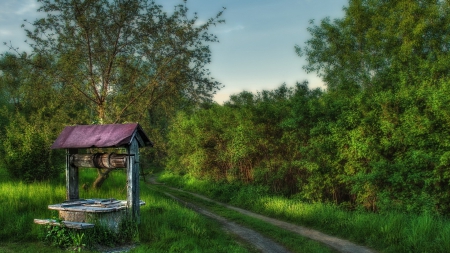 wonderful old well in the countryside hdr - road, well, trees, hdr, grass