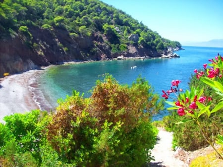 Lovely view - nice, slope, beach, trees, water, clear, bay, rocks, crystal, view, reflection, lagoon, boat, cliffs, lake, mountain, hills, summer, sailing, shore, lovely, nature, blue, beautiful, sailboat, flowers, sea