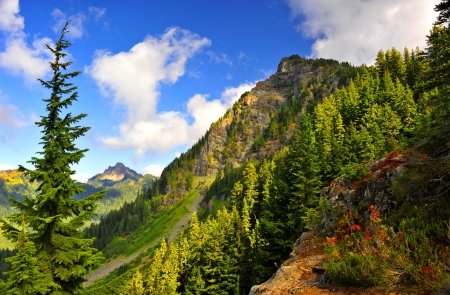 Mountain hills - nice, sky, slope, trees, greenery, mountainscape, amazung, quiet, gorgeous, calmness, clouds, grass, cliffs, hills, mountain, summer, lovely, peaks, serenity, nature, beautiful, flowers