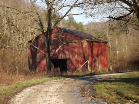 country time - paint, trees, with shaded, faded