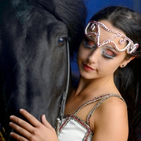 BEAUTY & BLACK STALLION