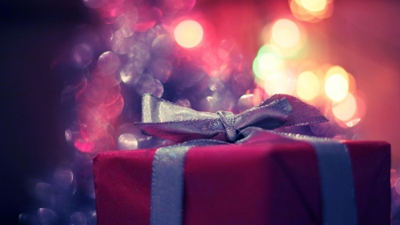 A Gift - holidays, nature, gifts, presents