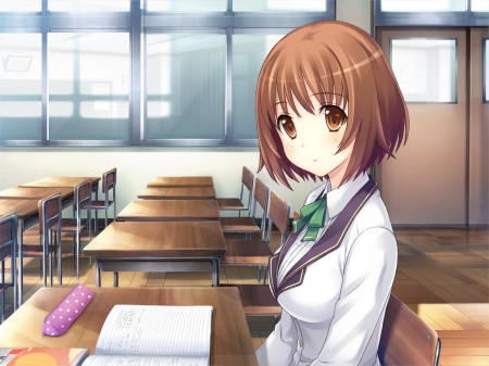 Studying~ - brown eyes, anime, desks, studying, windows, blush, brown hair, chair, short hair, looking, door, unifrom, desk, classroom, pancil case