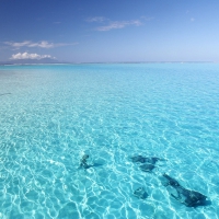 The Perfect Clear Aqua Turquoise Lagoon Sea Ocean on Island Bora Bora Tahiti Polynesia