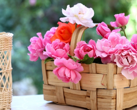 Still Life - flowers, white, roses, pink