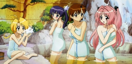 Girls Bravo Girls - anime, girls bravo, pool, miharu