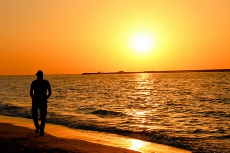 Walking at the Edge - edge, man, beach, sun