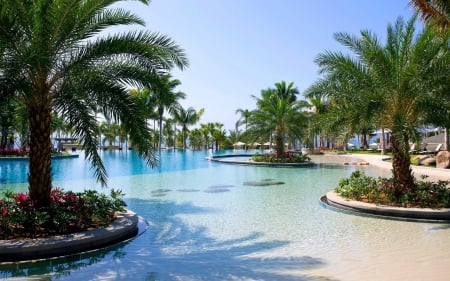 Swimming Pool - swimming pool, water, blue, palm trees, chairs, lovely