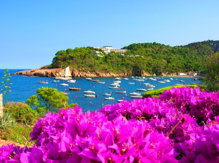 Blue bay - nice, beach, trees, sailboats, dock, water, colorful, bay, coast, wind, rocks, port, quiet, pretty, lagoon, ocean, boats, glowers, summer, sailing, picturesque, lovely, nature, blue, beautiful, island, breeze, sea