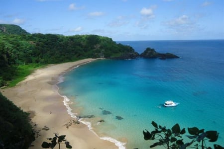 Beautiful  place - trees, sand, shoreline, beach