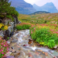 Glacier national park