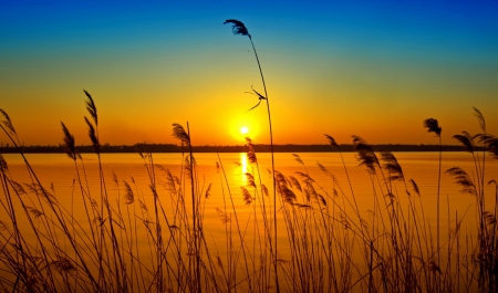 Orange sunset - sunlight, sunrise, grass, light, reflection, orange, dazzling, glow, river, sunset, nature, sun, sky