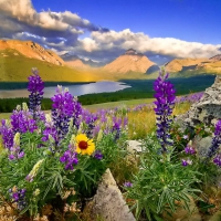 Glacier national park