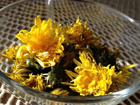 DRYING DANDELIONS FOR SALAD - photos, flowers, recipes, still life, salad, dandelions, food, macro, nature