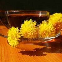 DANDELION TEA