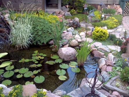 BACKYARD WATER GARDEN - flowers, photos, backyard, pond, gardens, landscape, landscapes, park