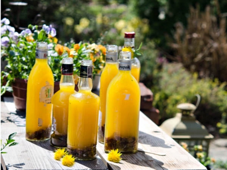 WINE MADE FROM FLOWERS - drinks, dandelions, food, photo, still life, flowers, wine, glass, bottles