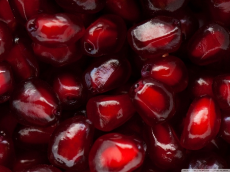 POMEGRANATE SEEDS - photos, food, sweets, seeds, nature, red, decilious, macro, fruit, close up