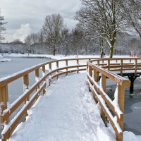 Winter Bridge