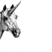 Unicorn Pencil Drawing 1