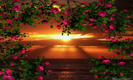 ~*~Floral Sunset~*~ - ocean, pretty, floral, roses, heart, beautiful, sunset, cute