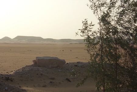 Lonely desert - nature, deserts