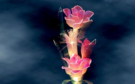 Illusion - roses, 3d