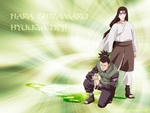 shikamaru and neji hyuga