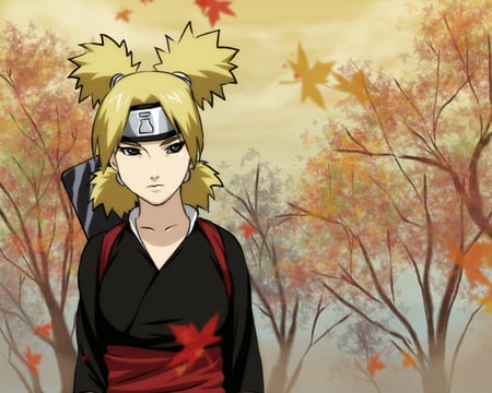 temari - gaaras sister, sand ninja, temari