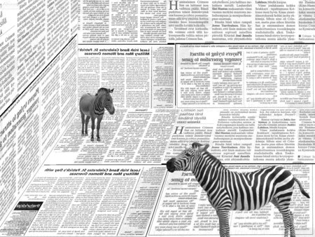 What's Black & White & Striped All Over? - white, zebras, newspaper, zebra, striped, newsprint, black