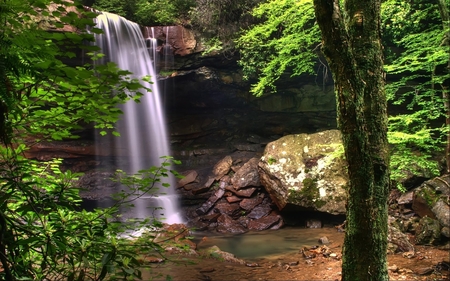 Waterfall - river, trees, branches, nature, waterfall, green, creek