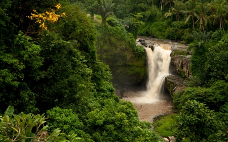 Waterfalls in Bali - palm trees, forest, bali, tegenungan waterfall, rock, waterfall, indonesia