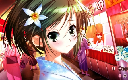 Yotsunoha - Yotsunoha, anime, stores, kawaii, blush, kimono, green eyes, brown hair, flower, short hair, manga, pony tail, look, sky