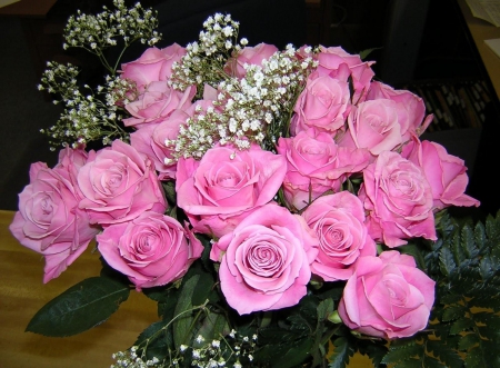 Pink roses - flowers, blooms, roses, pink